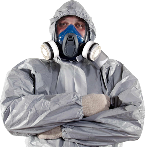 Sky Pro Pest Control WhatsApp Support