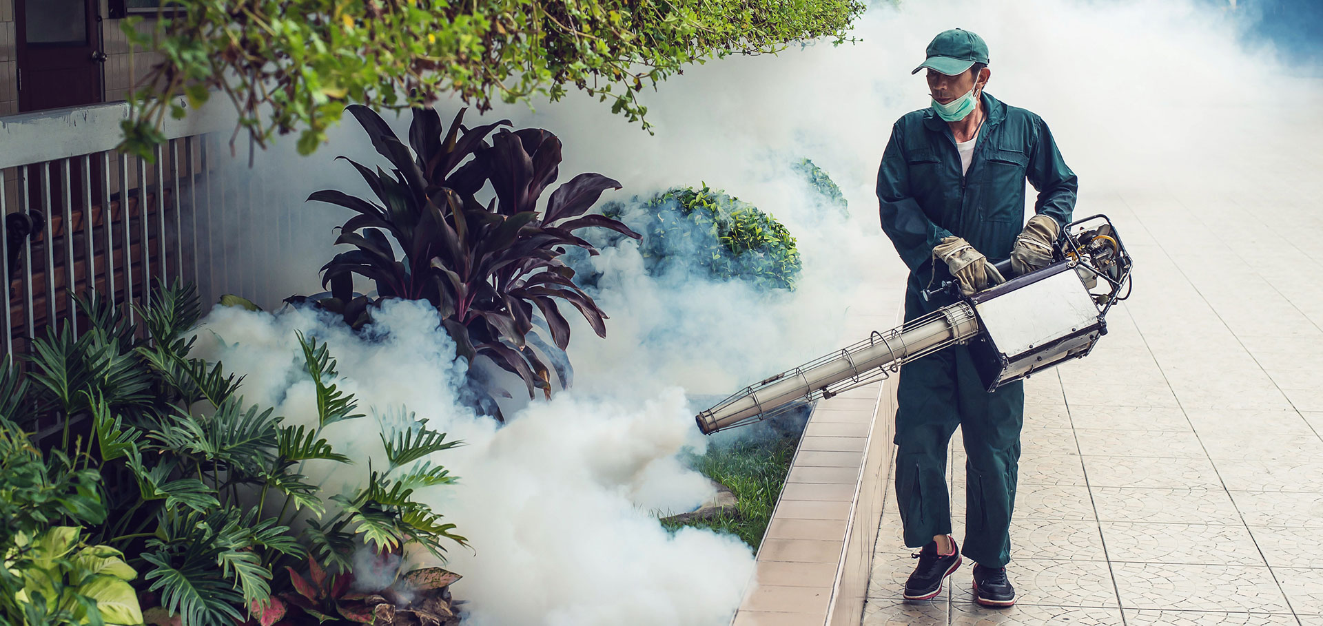 SkyPro Pest Control – Professional and Eco-Friendly Pest Removal Services