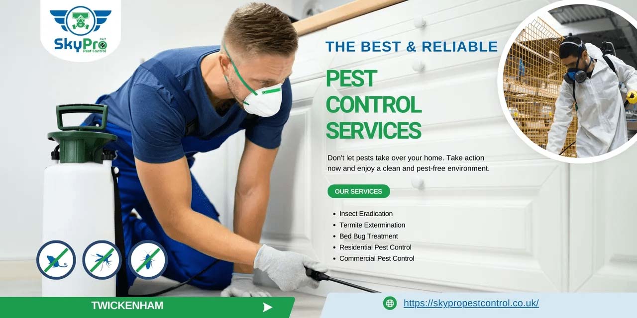 Expert Pest Control Services in Twickenham